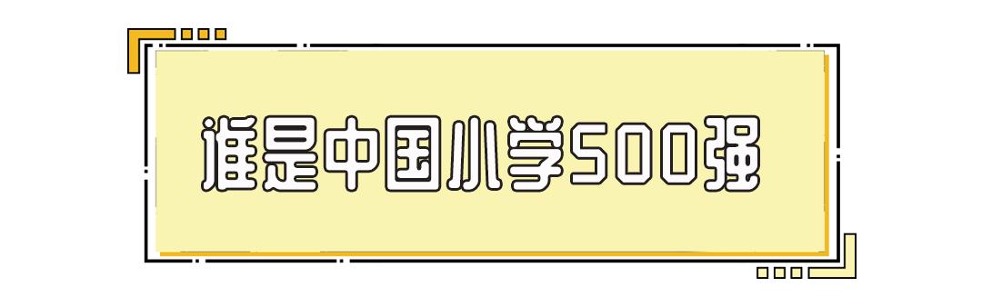 全国小学排名100强厦门,中国小学500强榜单