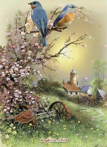 100张会动照片,30张罕见且迷人的图片