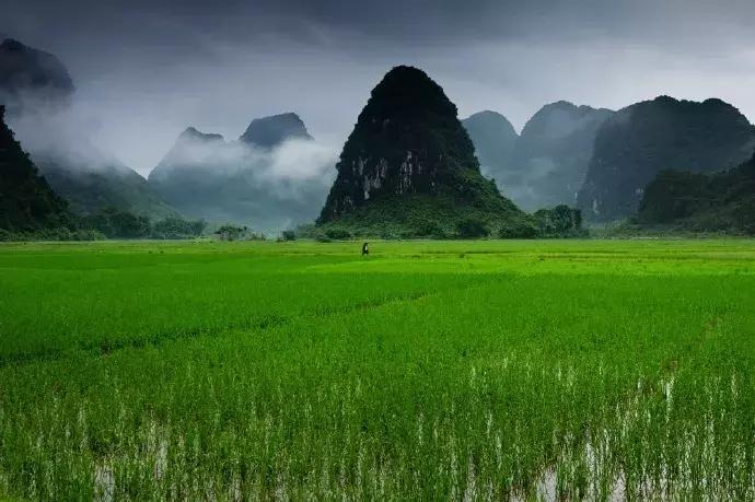 送别最好的十首诗,十首最经典的送别诗