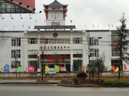 6年涨1万倍，转眼跌下神坛，「疯狂的石头」是怎样被打回原形的