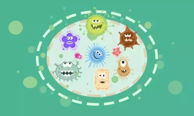 肠道菌群对婴幼儿健康的影响,母婴健康产后恢复