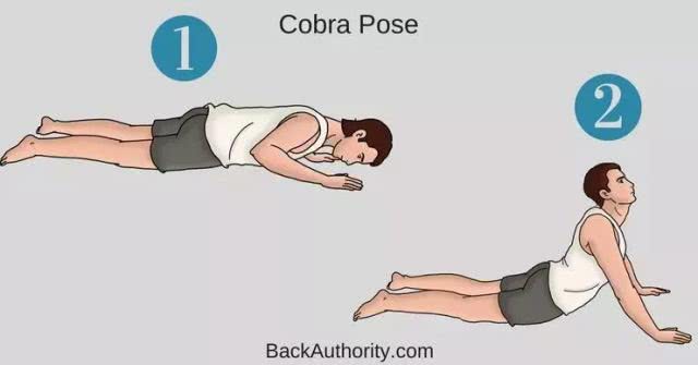 拉伸脖子会让斜方肌越来越大吗,脖子两侧肌肉变粗的方法