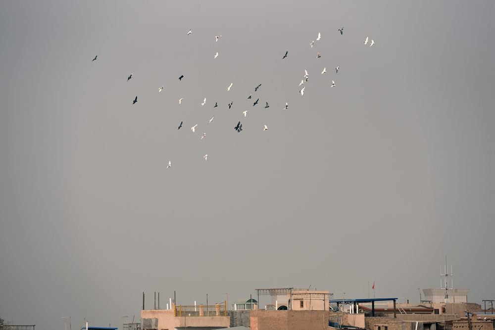 喀什高台民居怎么进去,高台民居怎么进入