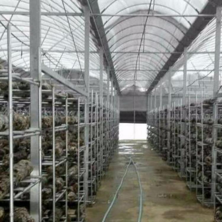 广西钢架大棚造价多少钱一平,三门峡养殖大棚钢架一亩价格