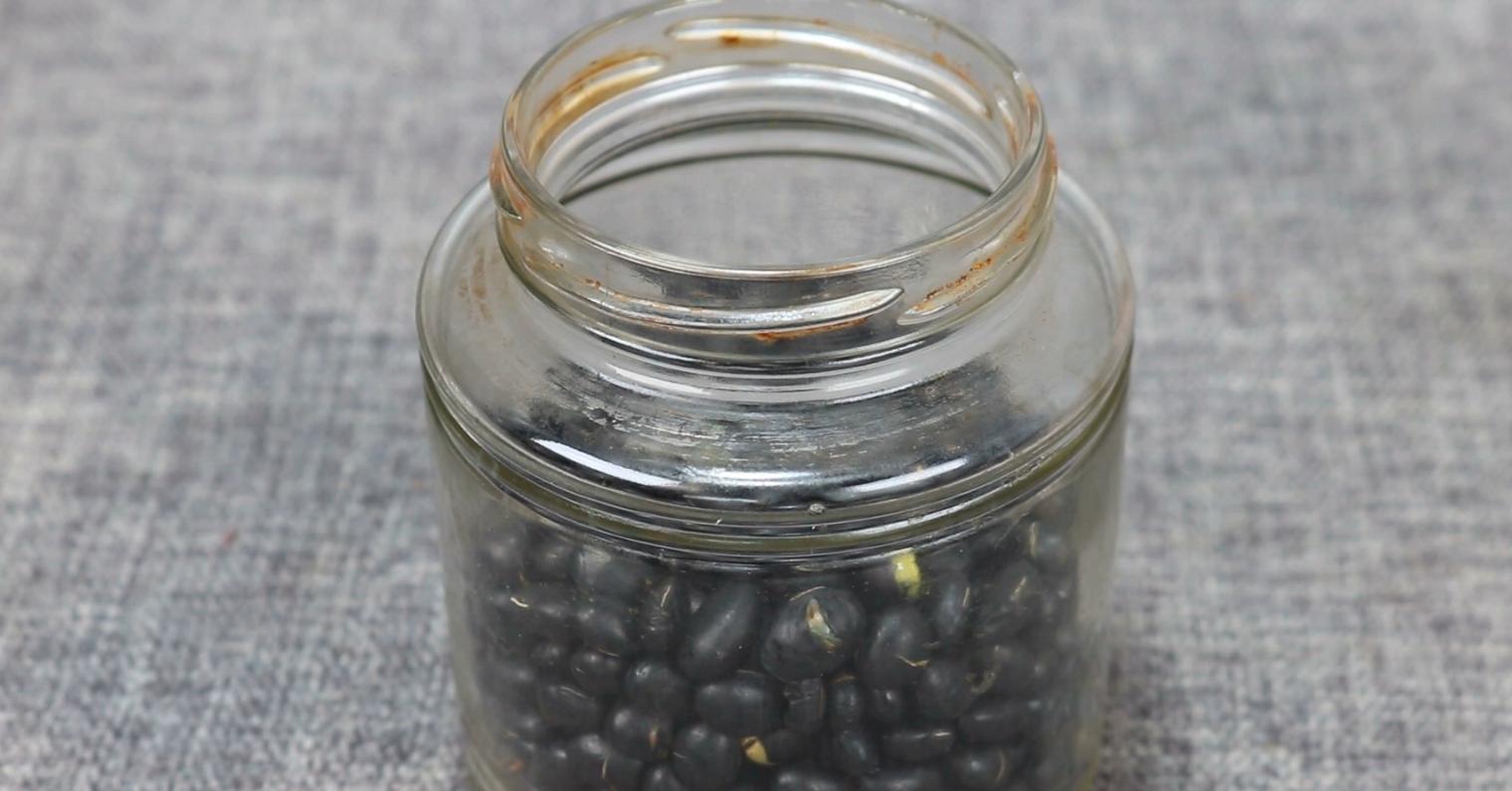 它被誉为“黑色黄金”，80岁奶奶教我土方法，每天几粒，身体棒