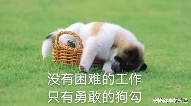 研究生面试时不会的问题怎么回答,教师资格证面试时政不会怎么回答