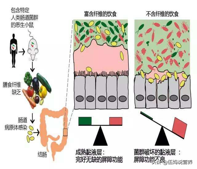 以前吃海鲜没事今年突然过敏了痒,以前吃海鲜过敏突然不过敏了