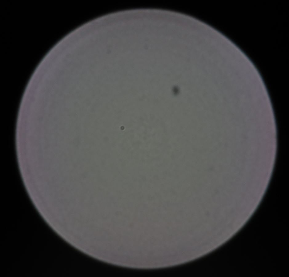 站在巨人的肩膀上深度解读,站在历史巨人的肩膀上