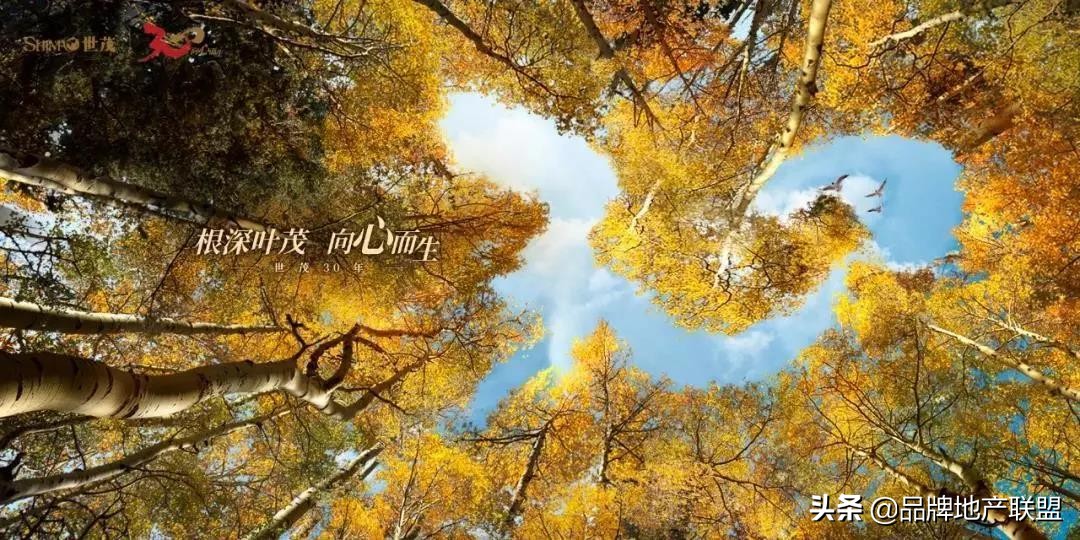 世茂在上海攒了20多年的家底,世茂现在走到哪一步了