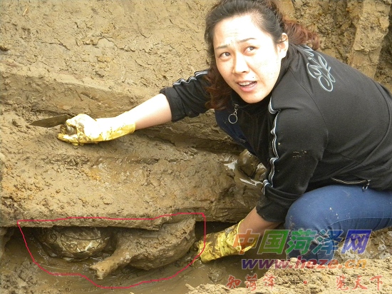 元代沉船,元代沉船多少钱一吨