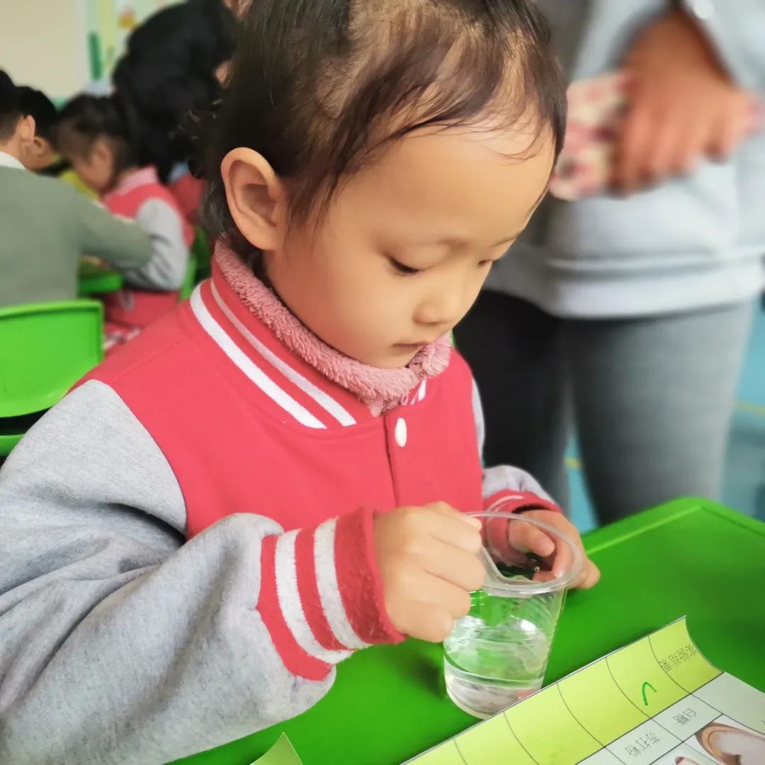 科学知识｜全园科学公开课，围观让孩子好奇心爆棚的有趣实验课程