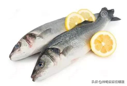 把所有口味都尝了一遍,买回来的鱼泥怎样加工才好吃