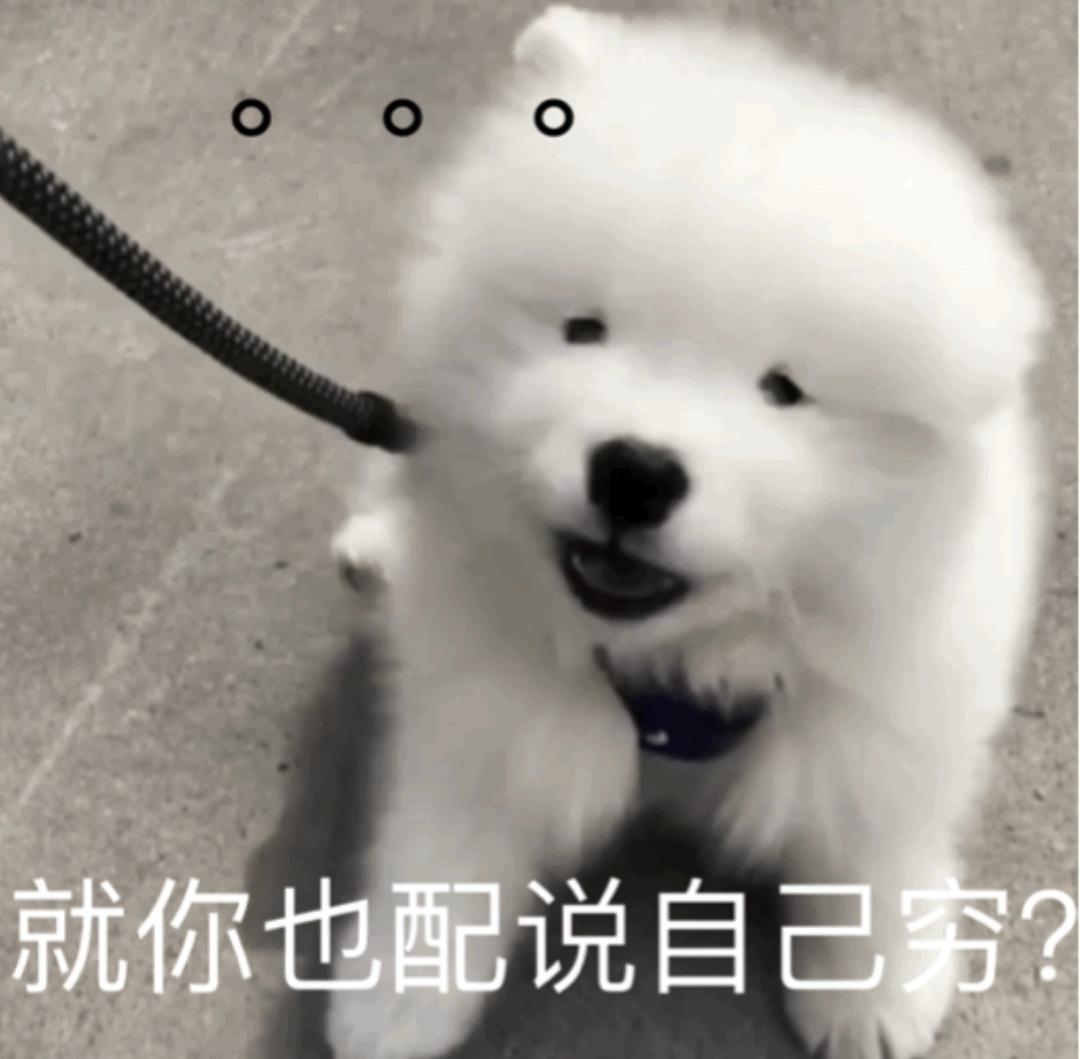 中国女孩，早就人手一件LV？