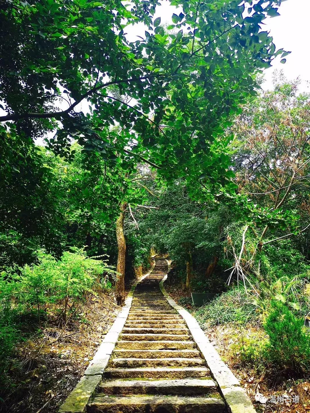 平阳鸣山古村落图片,千年古村平阳县鸣山村古城夜景