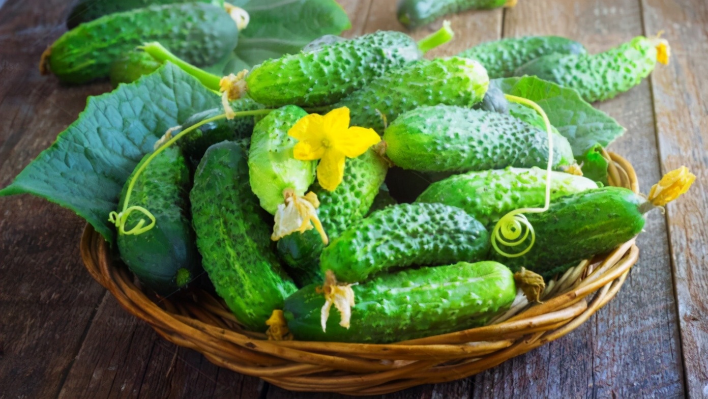 黄瓜的种类以及每种黄瓜的特征,又香又软的黄瓜品种
