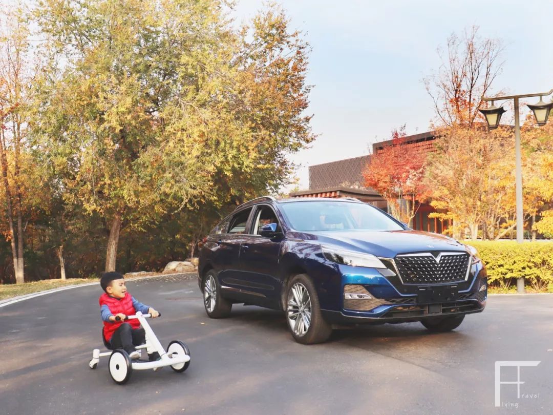 自驾|这个周末，我把怀柔的秋占为己有