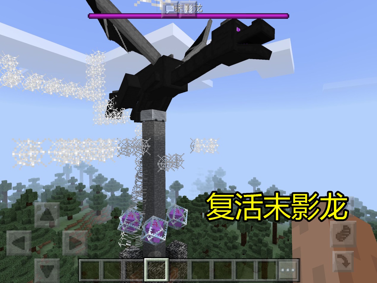 我的世界击败末影龙后该干嘛,我的世界击败末影龙后要干什么