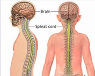 邸安床垫好吗,邸安床垫是什么品牌