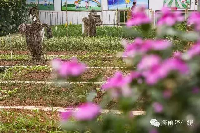 厦门同安周末踏青好去处,厦门岛内踏青景点大全