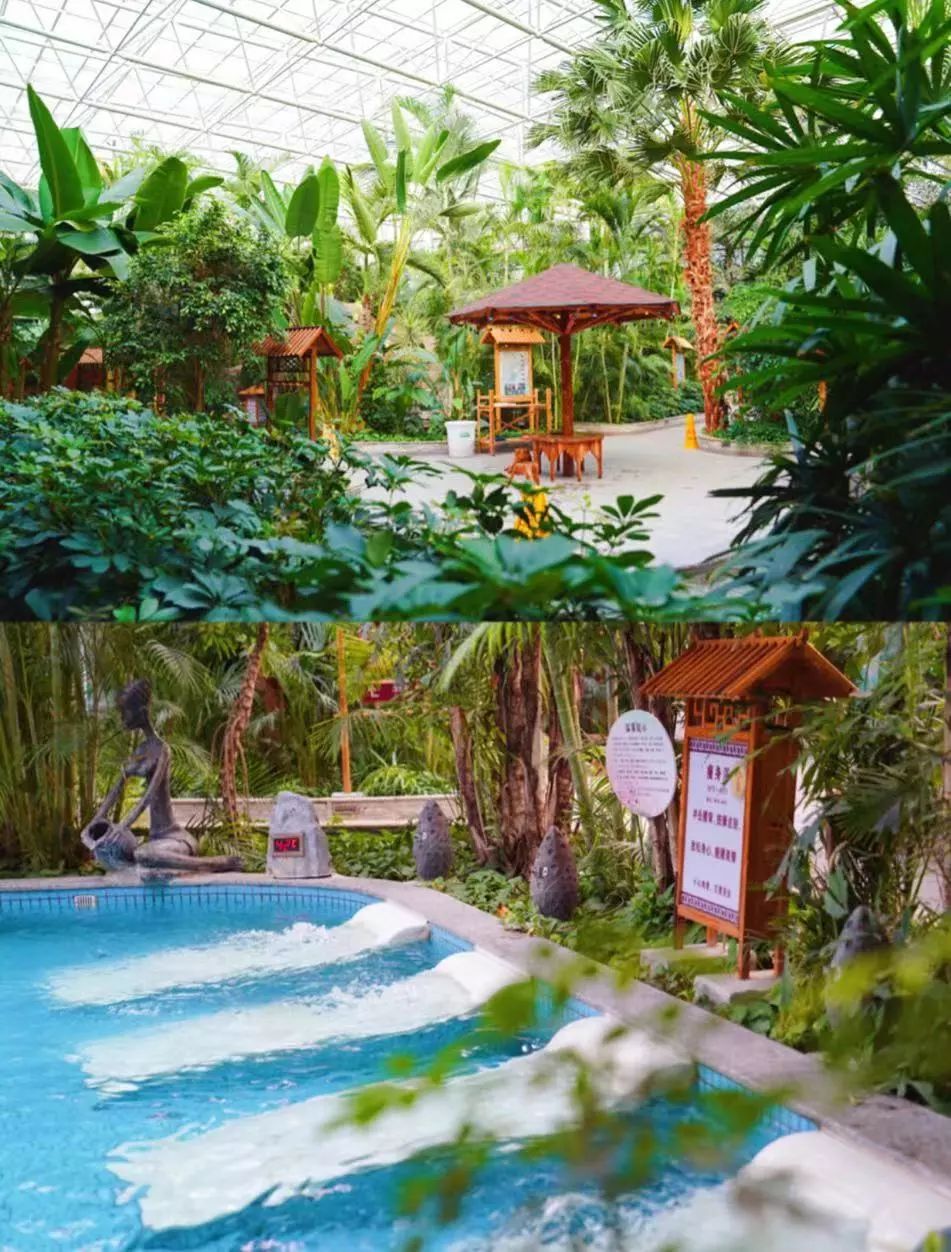 周末北京好去处便宜免费,北京带孩子泡温泉的好去处