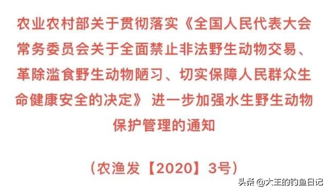 中华鳖保护动物,鳖是国家一级保护动物么