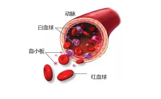 prp治疗膝关节骨性关节炎你知道吗,退行性膝关节炎prp治疗效果如何