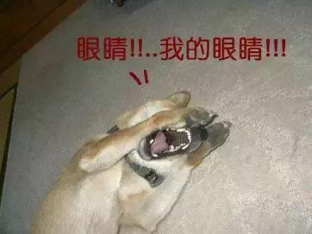 ugg爆款雪地靴,UGG爆款mini雪地靴