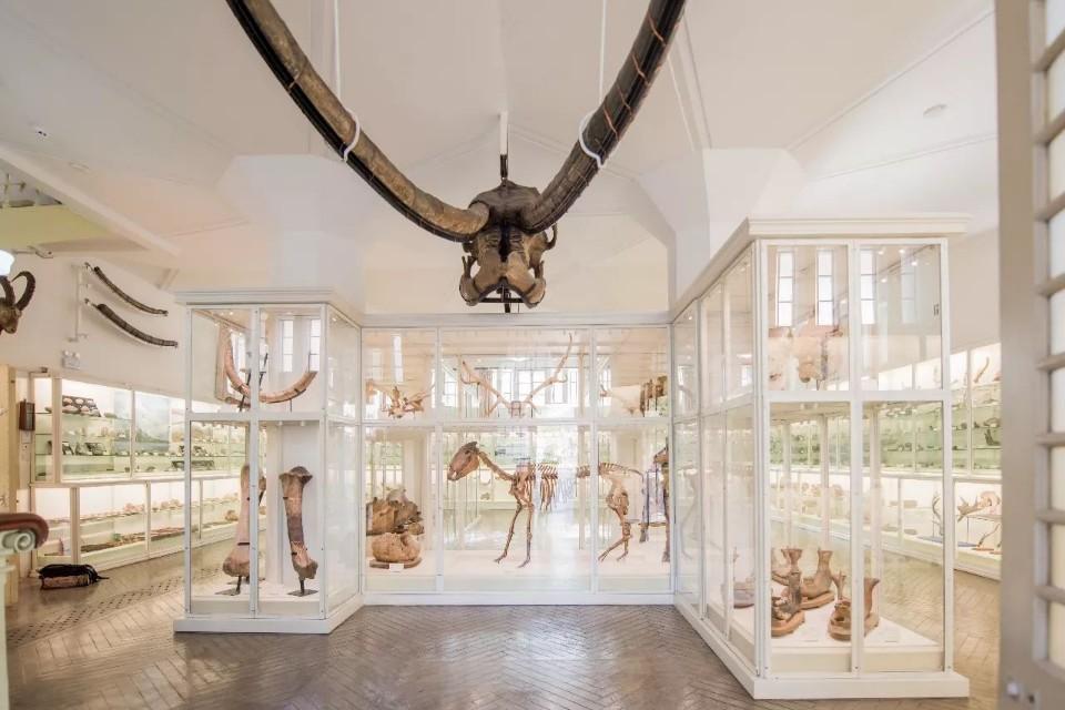 天津一日游适合去哪里玩,天津一日游好去处