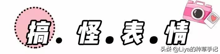 拍照姿势模板,最近很火的拍照方法模板