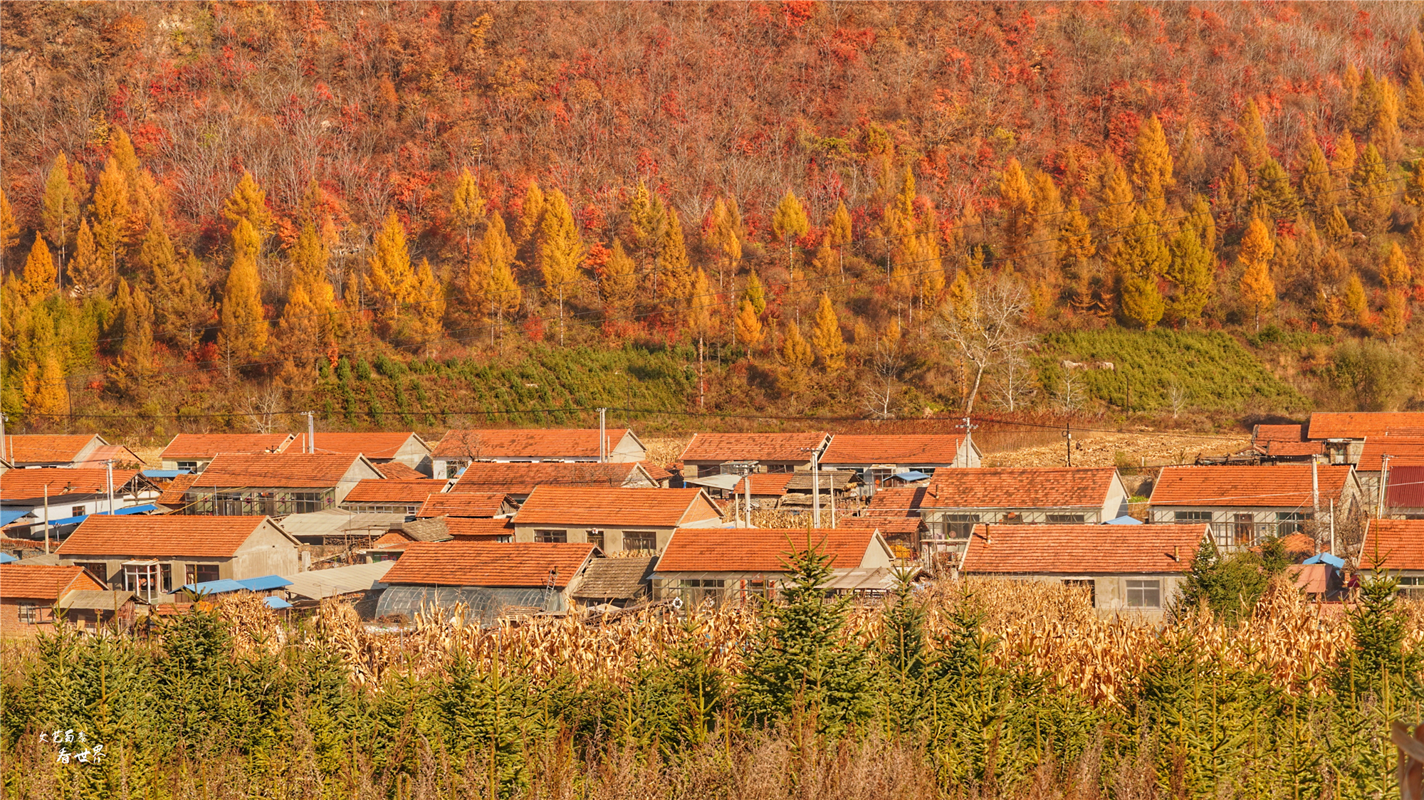 本溪关门山看枫叶最佳游览路线,本溪红叶层林尽染自驾游攻略