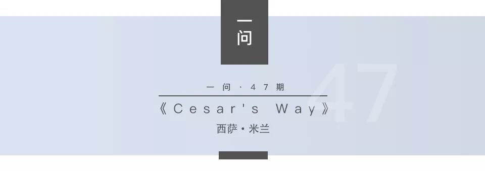 祝狗狗快乐的句子,狗狗生活简单又快乐