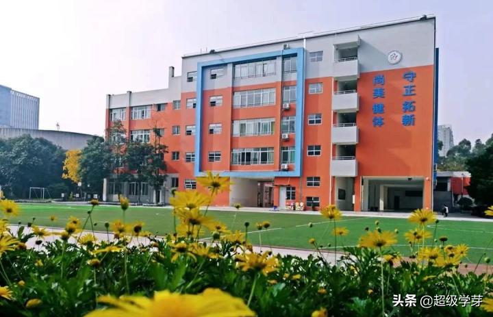 @成都家长，对口全好初中！解密！小升初青羊五区炙手可热的原因