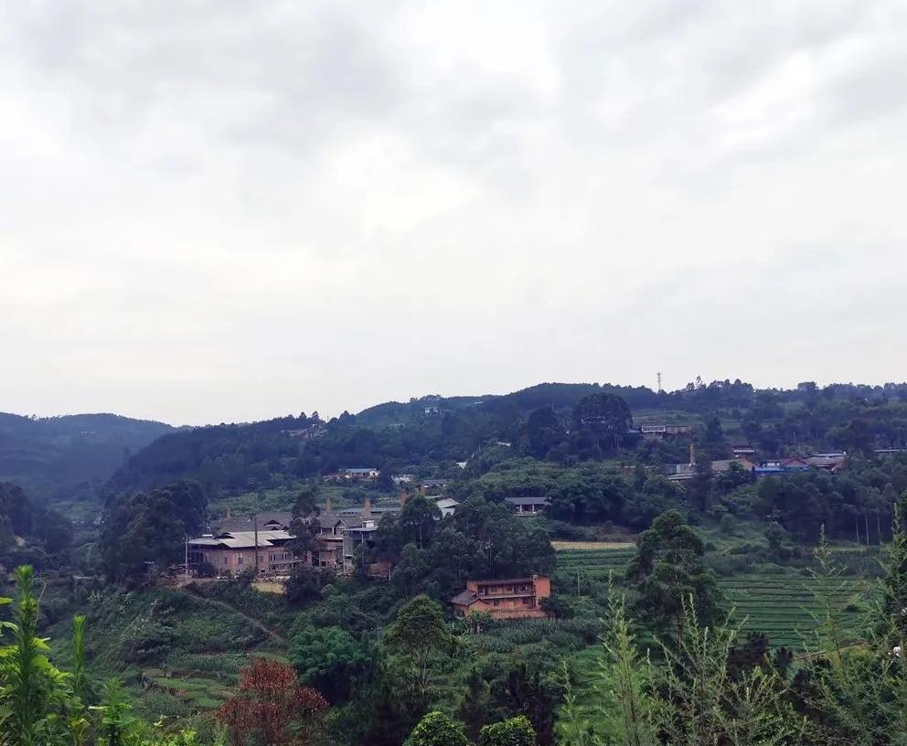 仁怀市茅台镇酒厂酒坛出售,茅台酒厂用的什么酒坛