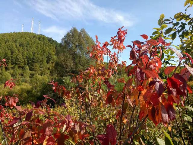 江苏广电第八届冠军,江苏电视台年度冠军