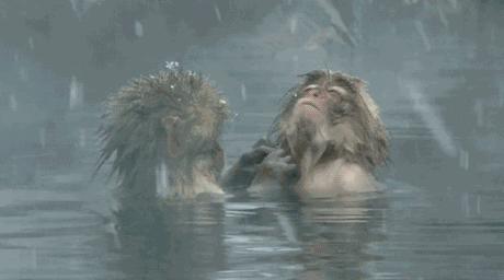 成都泡温泉一日游最佳景点,成都周边泡温泉一日游最佳景点