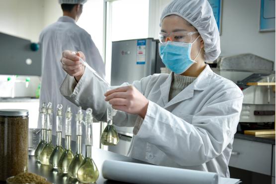 三匠苦荞茶新品,三匠苦荞高膳食纤维正宗黑苦荞茶