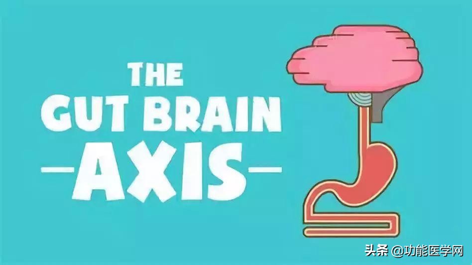 让人着迷的元素,微生物脑肠轴介绍
