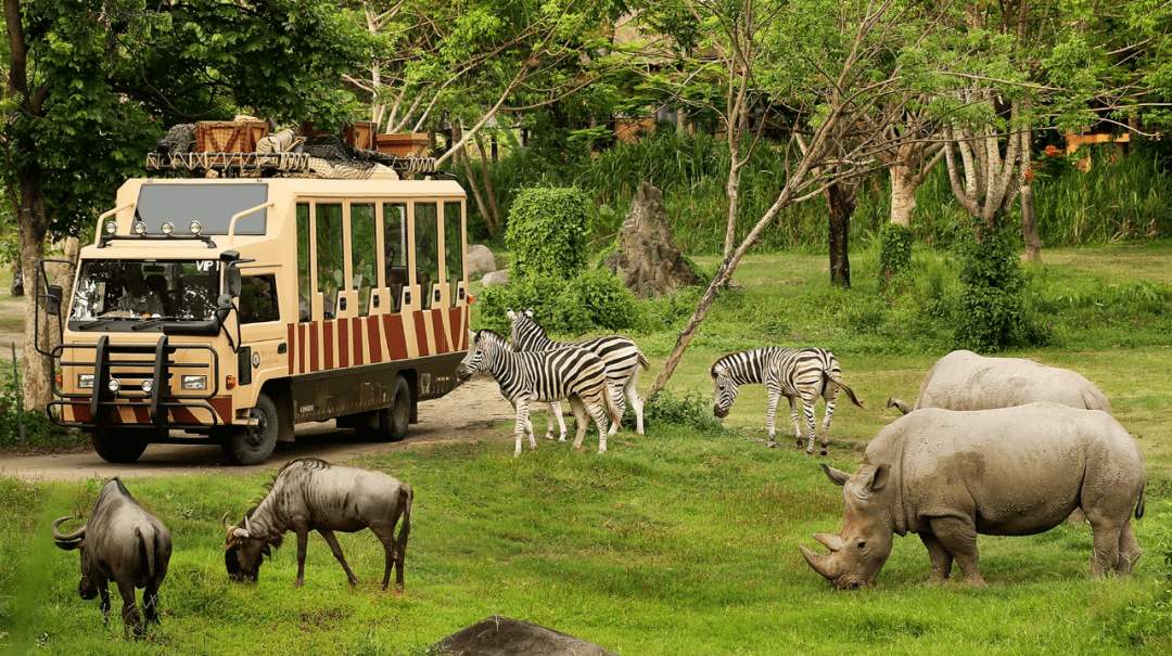 五一郑州哪儿旅游比较好,郑州五一游玩全攻略