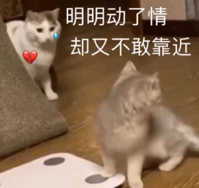 《青蛇劫起》用力过猛,扯到了胯