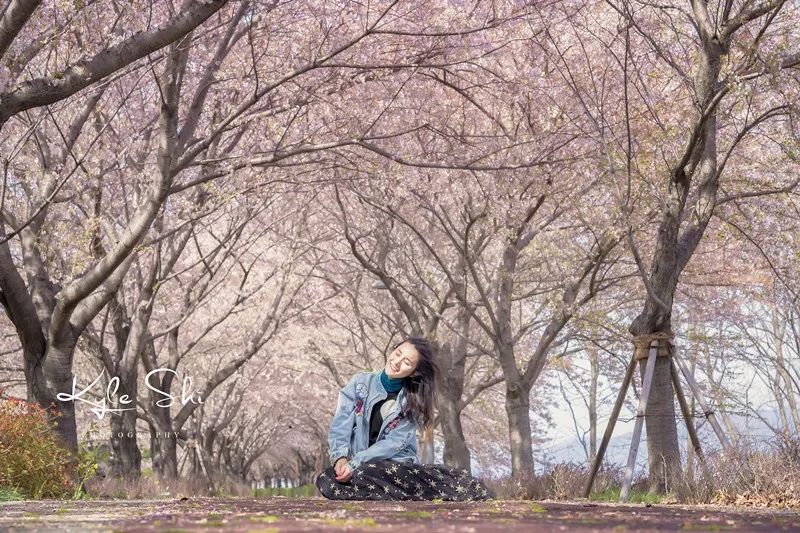 樱花季去京都怎么避免人太多,樱花季去日本旅行