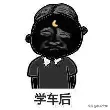 明星学车考驾照经历,一次难忘的学车过程的作文