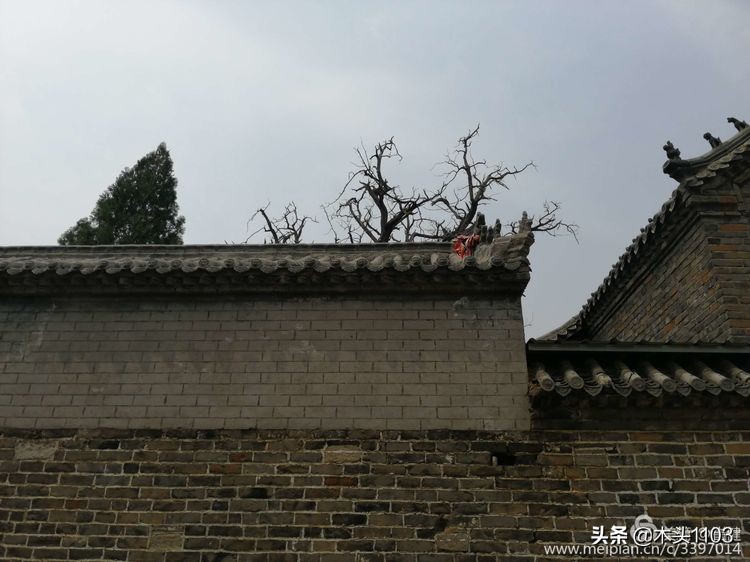 枣庄薛城邹坞镇中陈郝村,枣庄中陈郝村在哪里