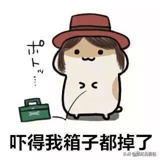 海淘儿童药靠谱吗,儿童海淘药网红