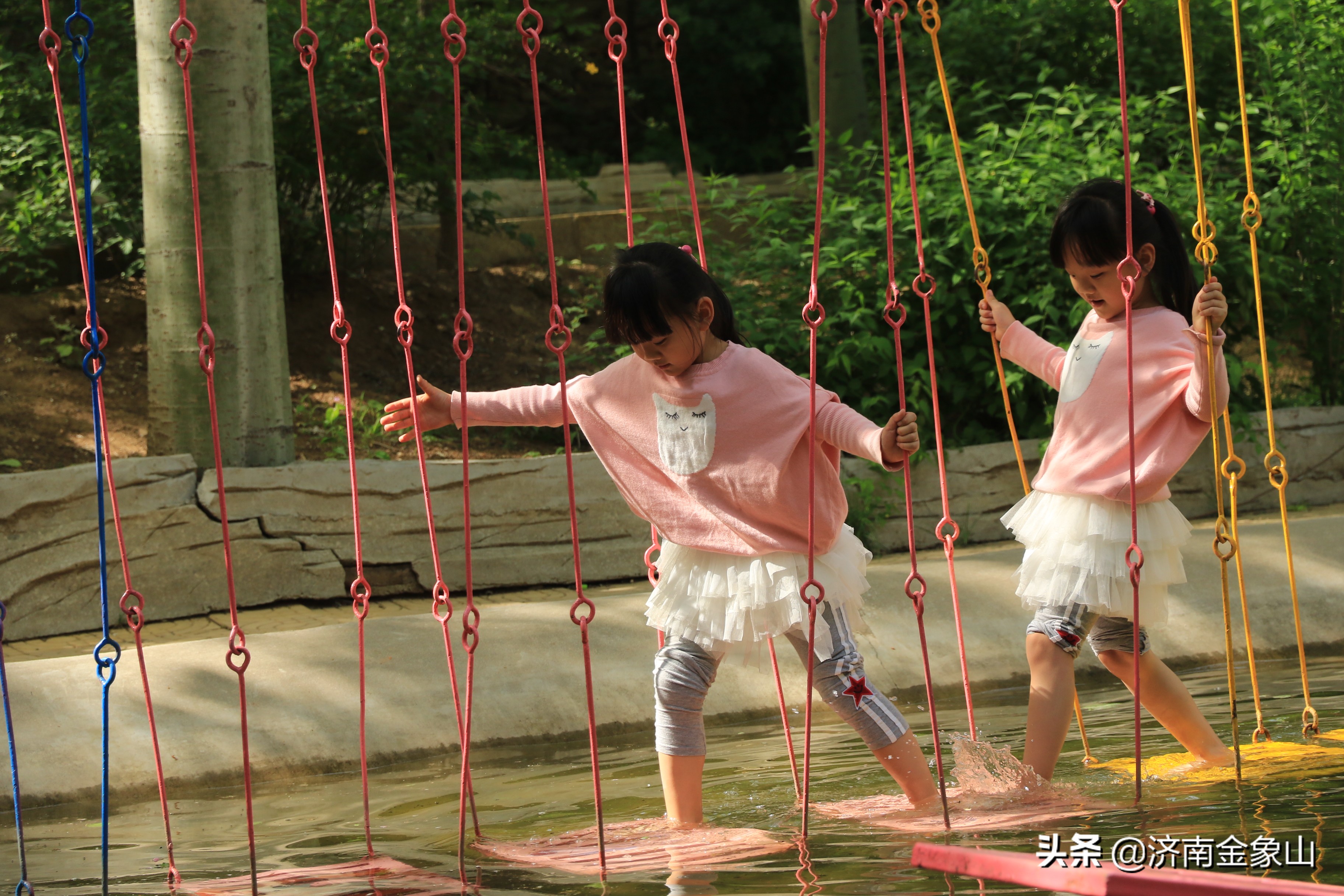 金象山风景区在哪里啊,金象山咋样