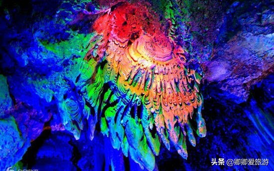 娲涢槼鏍惧窛鍦颁笅瀹,鏍惧窛鍦颁笅瀹鍏ㄦ櫙