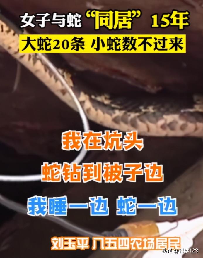 蛇进家里还偷吃鸡蛋也不能打吗,为什么家里跑进蛇不能打