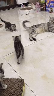 只能亮度调亮才能看得懂的梗,调高亮度才能看懂的梗