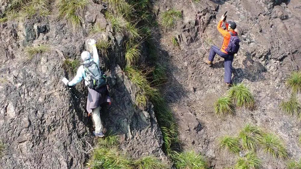 银杏古道自驾游攻略,江浙沪绝美古道苏州