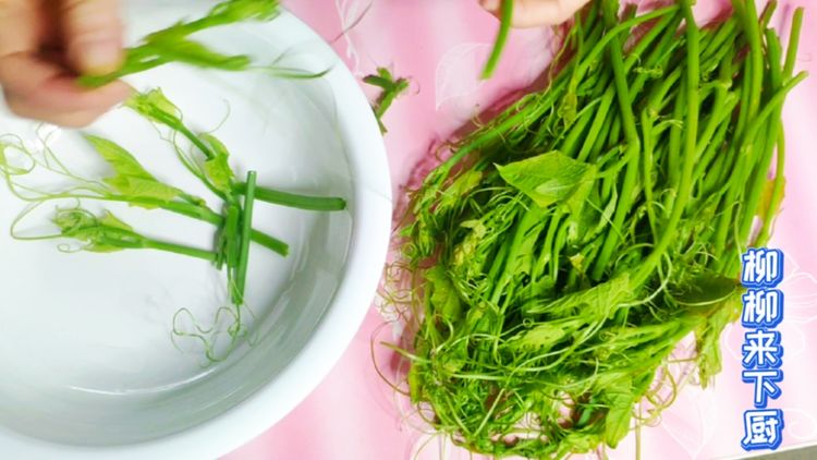 佛手瓜苗适合小孩吃的做法,佛手瓜苗清炒图片