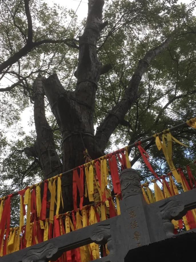 你右脚小拇指指甲盖是爽的吗？